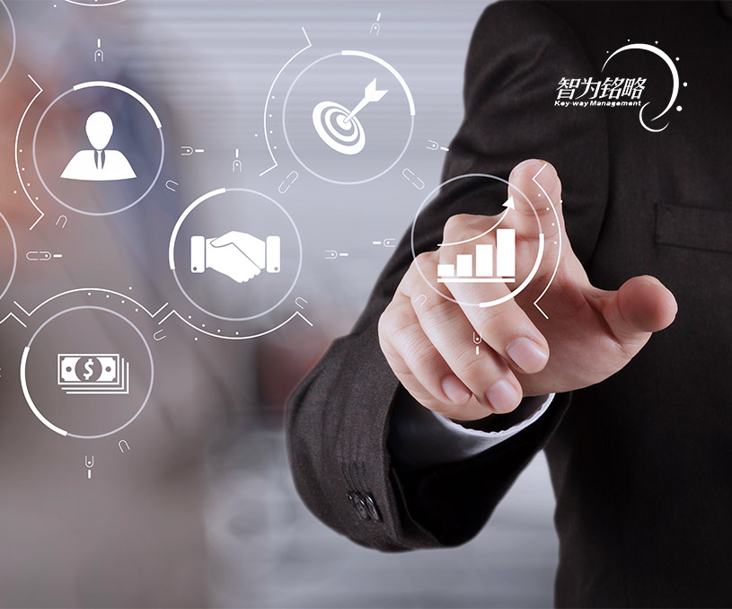 蘇州智為銘略企業管理有限公司營銷型網站建站案例