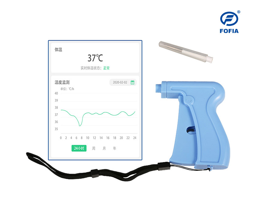 澳大利亞富華英文網站制作建設案例